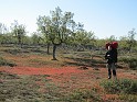 kesä 2011 381